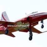 Northrop F-5E Patrouille Suisse